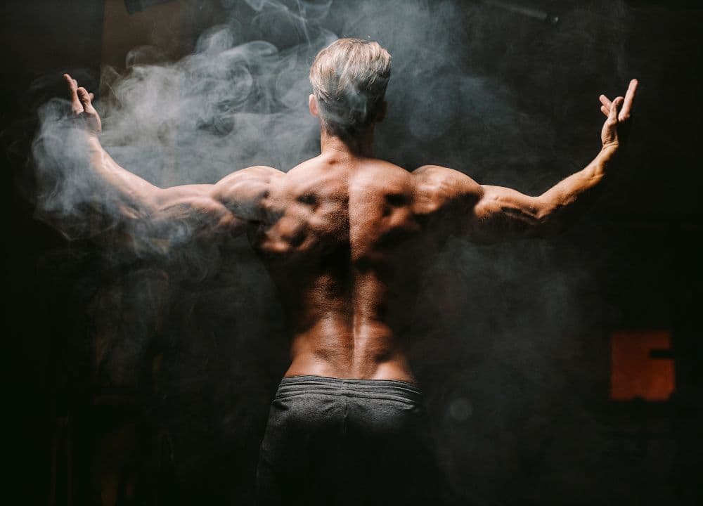 From Fat Loss to Muscle Building: Endocrine Systems Responsible for Body Composition